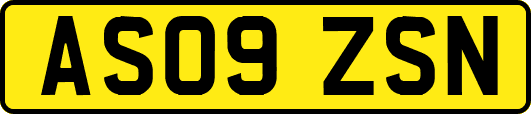 AS09ZSN