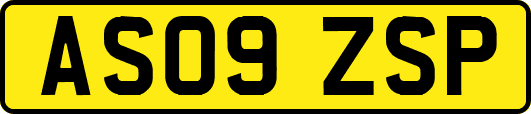 AS09ZSP