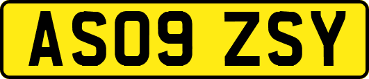 AS09ZSY