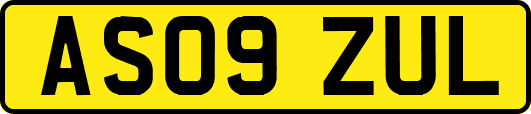 AS09ZUL
