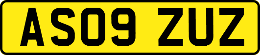 AS09ZUZ