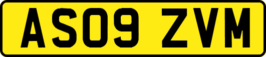 AS09ZVM