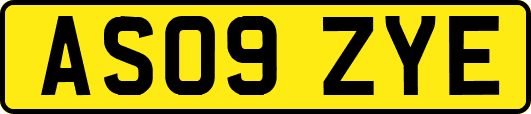 AS09ZYE