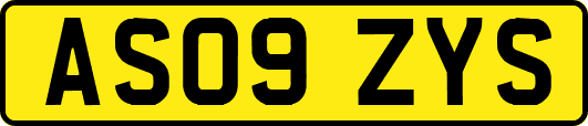 AS09ZYS