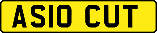 AS10CUT