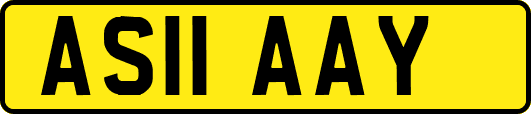 AS11AAY