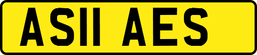 AS11AES