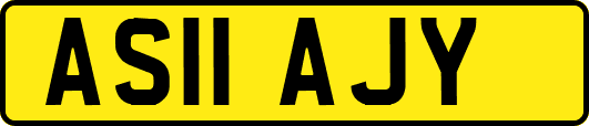 AS11AJY