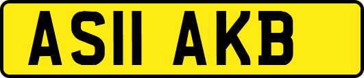 AS11AKB