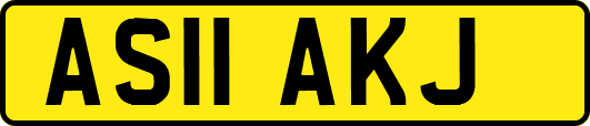 AS11AKJ