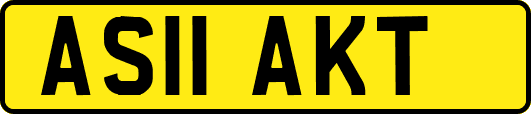 AS11AKT