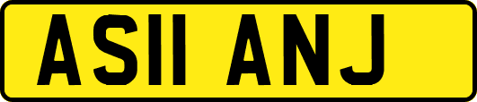 AS11ANJ