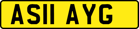AS11AYG