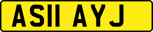 AS11AYJ