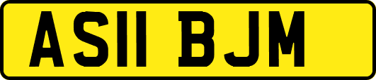 AS11BJM