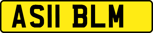 AS11BLM