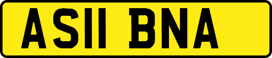 AS11BNA