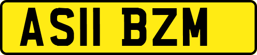 AS11BZM