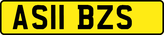 AS11BZS