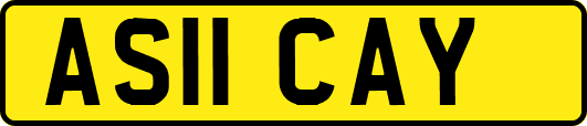 AS11CAY