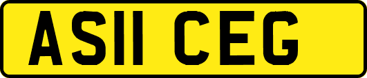 AS11CEG