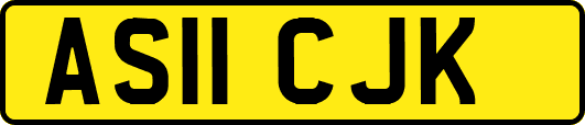 AS11CJK