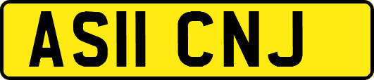 AS11CNJ