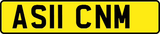 AS11CNM