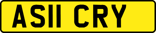 AS11CRY