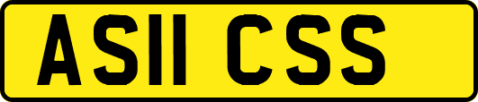 AS11CSS