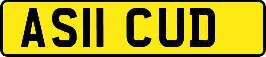 AS11CUD