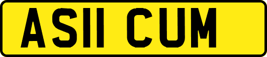 AS11CUM