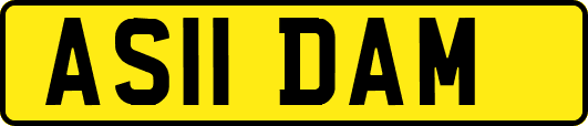 AS11DAM