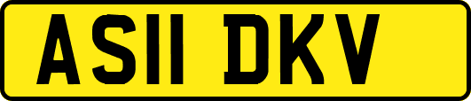AS11DKV