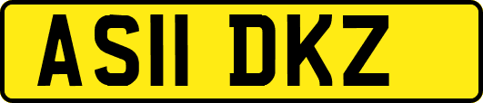 AS11DKZ