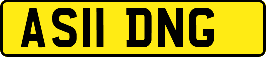 AS11DNG
