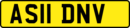 AS11DNV