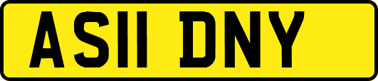 AS11DNY