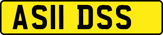 AS11DSS