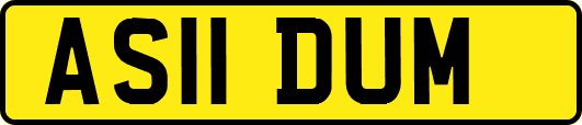 AS11DUM