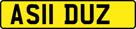 AS11DUZ