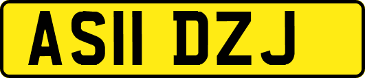 AS11DZJ