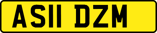 AS11DZM