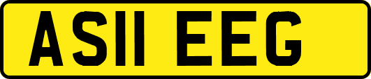 AS11EEG