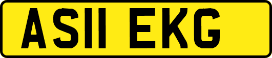 AS11EKG