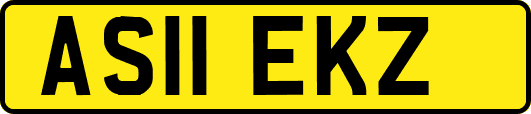 AS11EKZ
