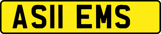 AS11EMS