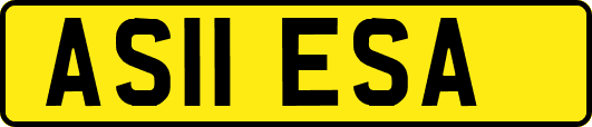 AS11ESA