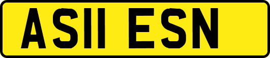 AS11ESN