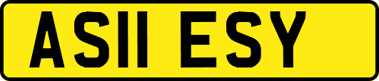 AS11ESY